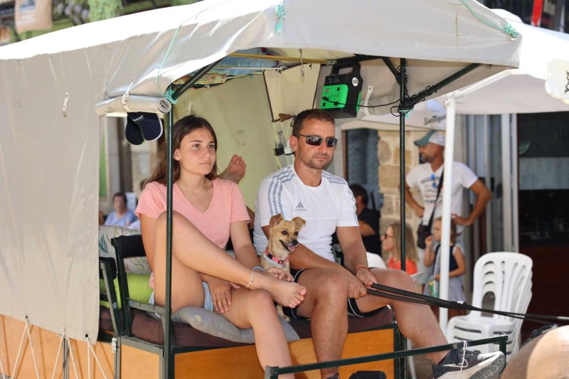 La presentació i l’entrada de la murta aporten l’ambient a l’arranc de les festes de Llíber La presentació i l’entrada de la murta aporten l’ambient a l’arranc de les festes de Llíber